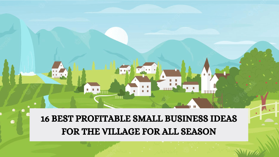 16 Best Profitable small business ideas for the village for all season