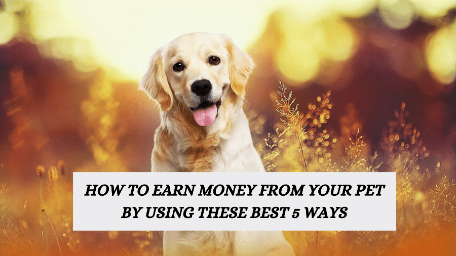 How to earn money from your pet by using these best 5 ways